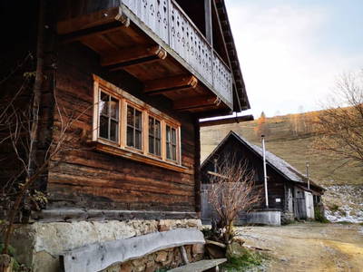 Bild 62 aus  Größingalm