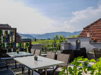 Bild 10 aus Winzerhof Mörtinger