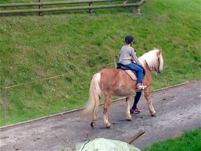 Bild 18 aus Familien und Pferdebauernhof