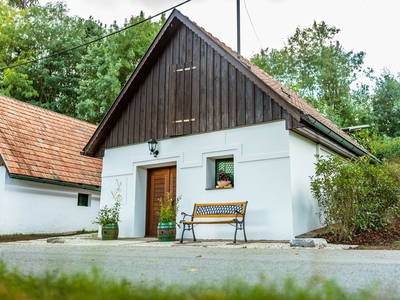 Bild 6 aus  Winzerhof Küssler, Weinviertel