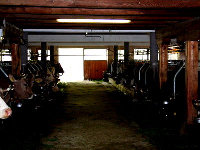 Bild 15 aus Badererhof - Gästehaus Wechselberger