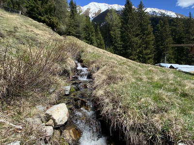 Bild 23 aus  Haus Wille