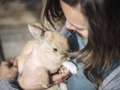 Bild 29 aus  Farm Resort Geislerhof - Private Chalets