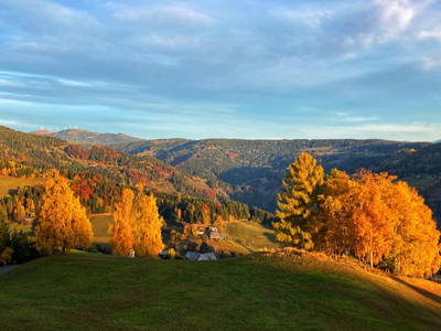 Bild 44 aus  Seewaldhof