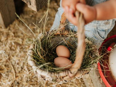 Bild 56 aus  Hattlerhof