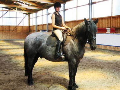 Bild 44 aus  Hof Grüneberg