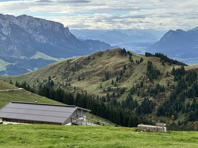 Bild 55 aus  Lochner Alm