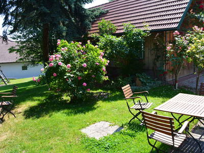 Bild 31 aus  Weingut Seiner vlg.Kraxner