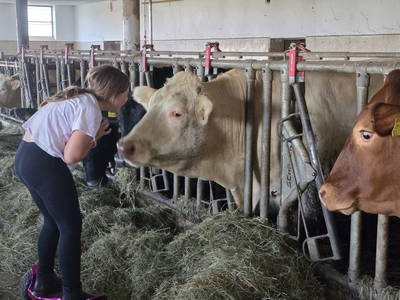 Bild 59 aus  Santnergut