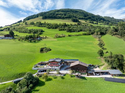 Bild 11 aus  Torlehenhof