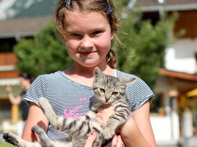 Bild 46 aus  Ladestatthof