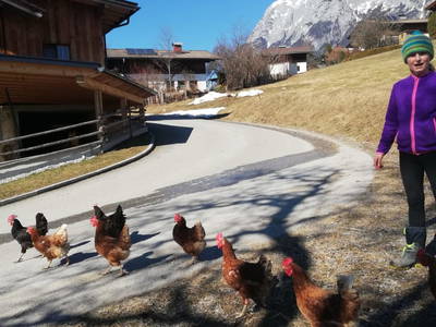 Bild 166 aus  Biohof - Einberghof