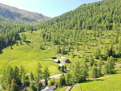 Bild 279 aus  Wolfsbachhütte