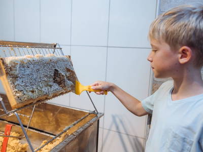 Bild 19 aus  Kronhofer - Apartments und Erlebnis-Imkerei