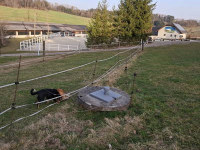 Bild 136 aus  Reiterhof Pfleger