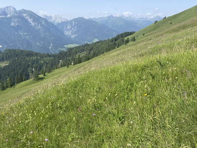 Bild 108 aus Landhof Unterkreuter