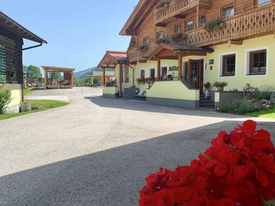 Bild 146 aus  Heisshof 