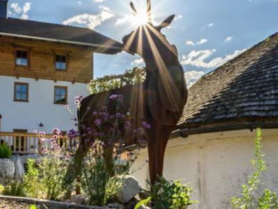 Bild 110 aus  Ascherhof