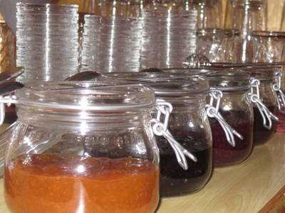 Bild 261 aus  Proneben Gut - Erlebnisbauernhof u. Kuschelhütten