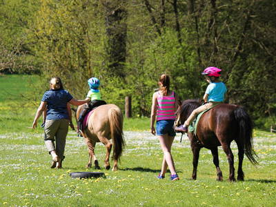 Bild 7 aus  LandSelection Märchen-Kinderbauernhof Ponyhof  -  Weidelshof                    Kassel-Edersee-Berge