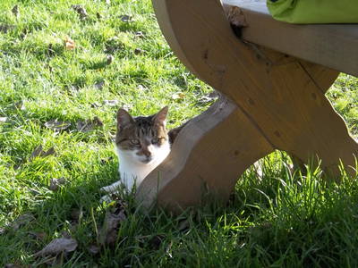 Bild 11 aus  Ferienhof Riekeshof