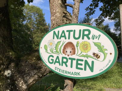 Bild 107 aus  Kräutlhütte Auer