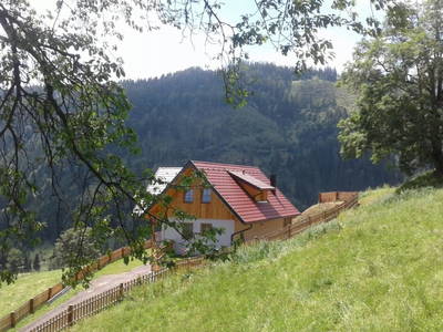 Bild 9 aus  Alm-Ferienhaus Schleinzer