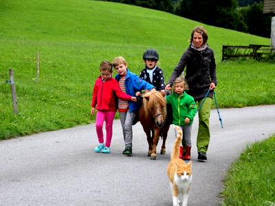 Bild 9 aus Bio-Ferienbauernhof Greber