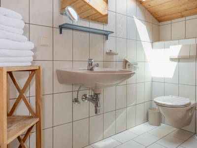 Bild 147 aus  Pleschinhof