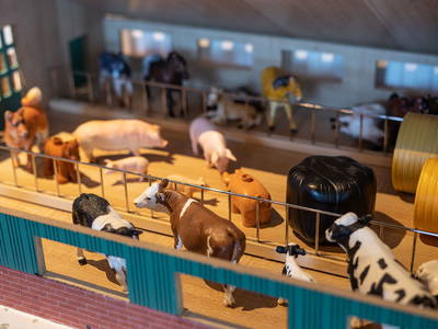 Bild 64 aus  Peilsteingut