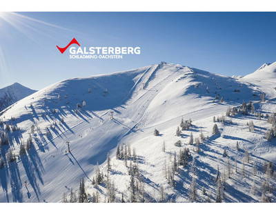 Bild 16 aus  Hocheggerhof