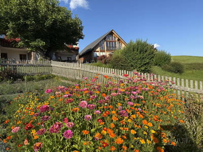 Bild 174 aus  Mösslacherhof