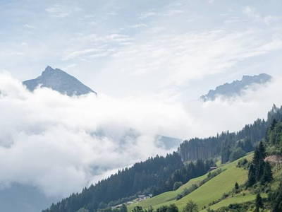 Bild 144 aus  Familienbauernhof mit Märchenkulisse - ZITTRAUERHOF