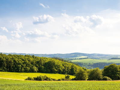 Bild 21 aus  Ferienhof Conrath