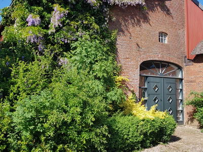 Bild 69 aus  Lindenhof