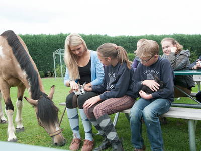 Bild 10 aus  Pension-Ponyhof Hartmann