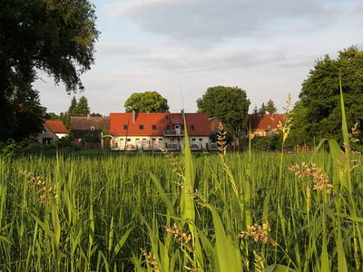 Blick vom See zum Polly Ferienhof Strasen