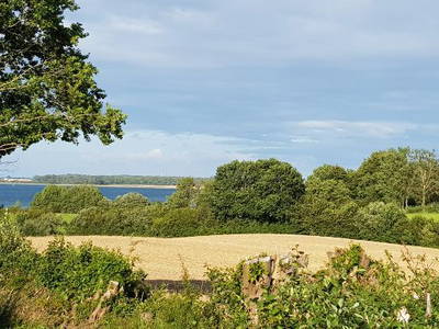 Bild 33 aus  Urlaub bei Familie Schmidt in Wippendorf