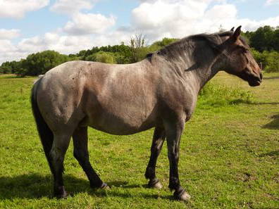 Bild 35 aus  Hof Grüneberg