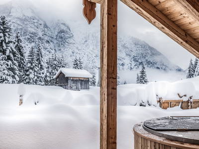 Bild 38 aus  Benglerwald Berg Chaletdorf