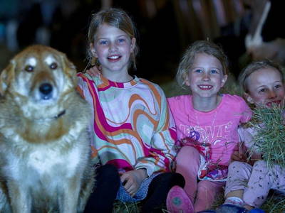 Bild 38 aus  Hofgut Schleinsee  - idyllisch am eigenen See