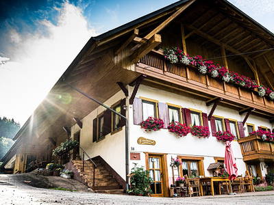 Bild 2 aus  Friedershof