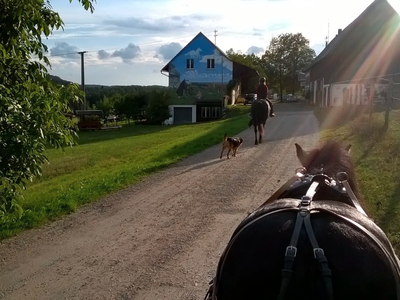 Bild 20 aus  Erlebnishof am Kordigast