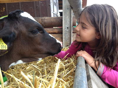 Bild 14 aus  LandSelection Ferienhof Zur Hasenkammer