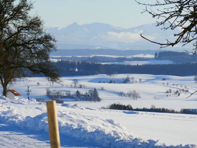 Bild 101 aus  Allgäu Bergferienhof