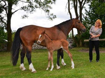 Bild 38 aus  Hof Grüneberg
