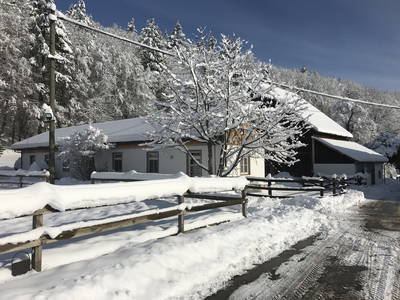 Bild 31 aus  Dürrenhof