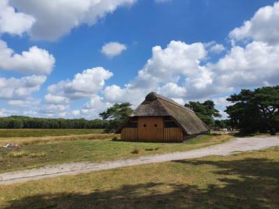 Bild 28 aus  Ferienhof Wegmann