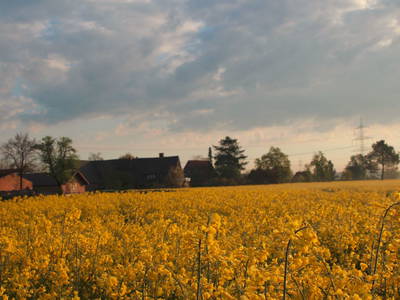 Bild 9 aus  Hof Schulze Harling