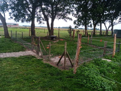 Bild 5 aus  Erholung auf dem Bauernhof